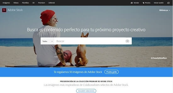 Adobe Stock páginas de fotografia
