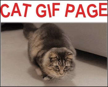 Perder el tiempo en internet