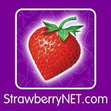 strawberrynet outlet maquillaje primeras marcas