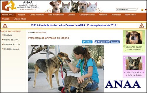 La mejor pagina para adoptar perros anaa
