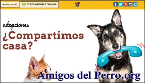 Adoptar perro en Espana con amigosdelperro