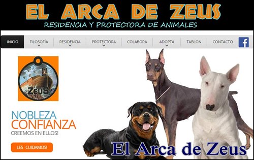 Quiero adoptar un perro