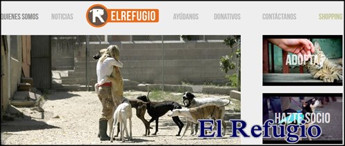 Centro de adopcion de perros