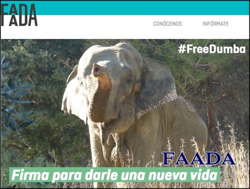 Pagina para adoptar mascota fada