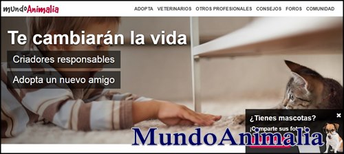 mundoanimalia para adopciones caninas