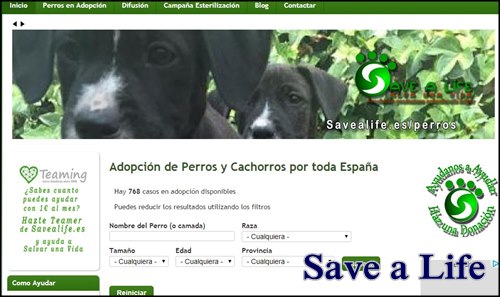 salva una vida de una mascota