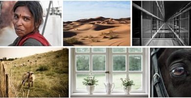 Los mejores sitios web para descargar imagenes