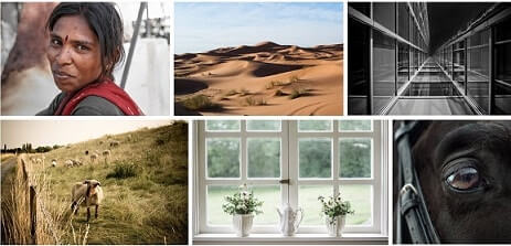 Los mejores sitios web para descargar imagenes