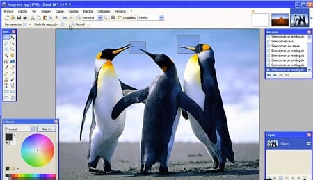 editar fotos con paint.net