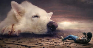 editores fotomontajes