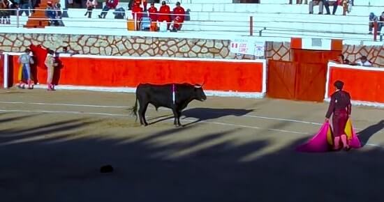 como ver toros online en directo
