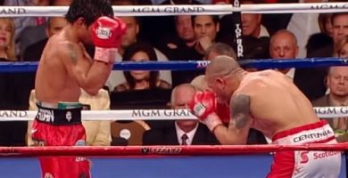 peleas de boxeo gratis en vivo