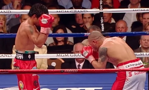 peleas de boxeo gratis en vivo