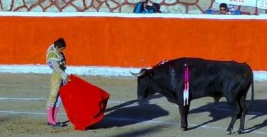 ver corridas de toros online
