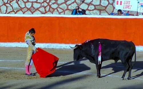 ver corridas de toros online
